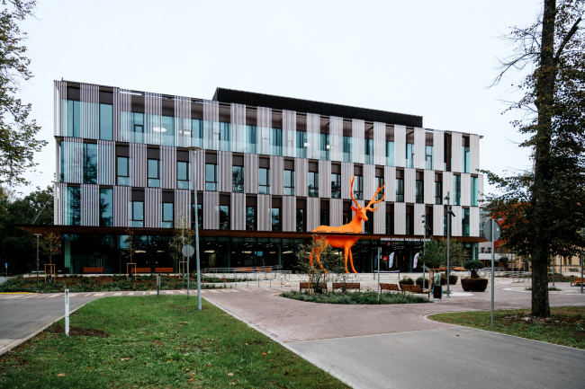 Multidisciplinārs semināru cikls “No simptomiem līdz risinājumam: klīniskās situācijas pediatrijā”