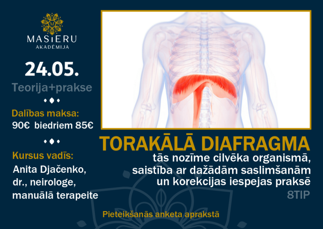 Torakālā diafragma