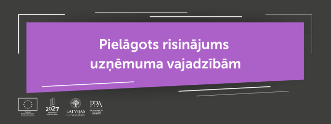 Pielāgots risinājums